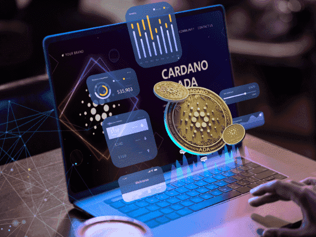 Performance Analysis of Cardano (ADA