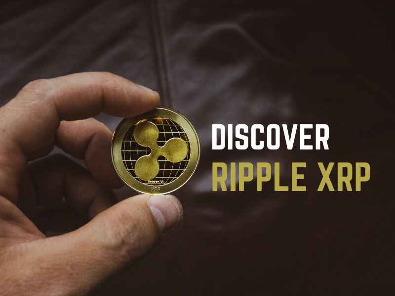 Discover Ripple XRP