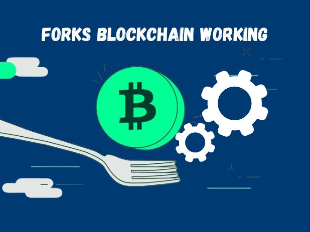 How do Blockchain Forks Work?
